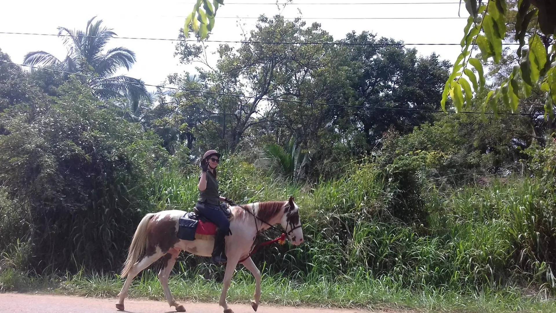 Sigiri Shen Residence Sigiriya Bed & Breakfast